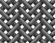 Braided Nets
