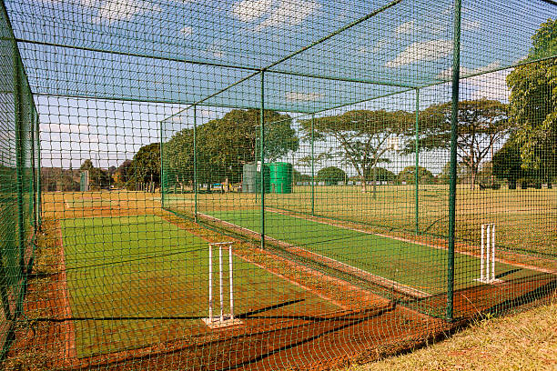 Cricket netting services Hover